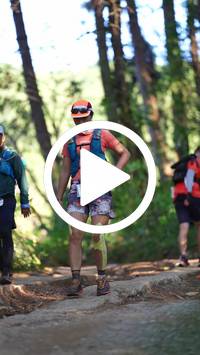 BIB:  <button type="button" onclick="openModal(26788133)" class="btn btn-primary btn-sm float-right" data-toggle="modal" data-target=".modal-high-quality">
                <i class="fa fa-download"></i> Download
                </button>